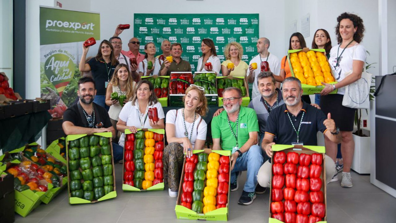 semillas fito jornada pimiento|semillas fito jornada pimiento|semillas fito jornada pimiento|semillas fito jornada pimiento